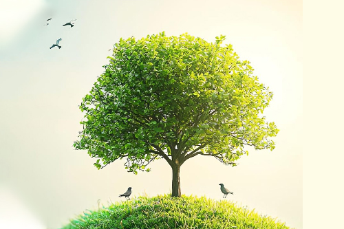 E5 Sustain ESG Solutions
